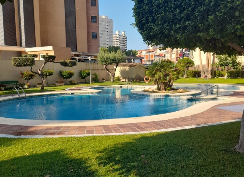 Resale - Apartment / flat - Benidorm - Levante