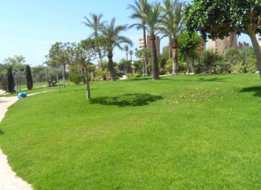 Resale - Apartment / flat - Benidorm - Poniente