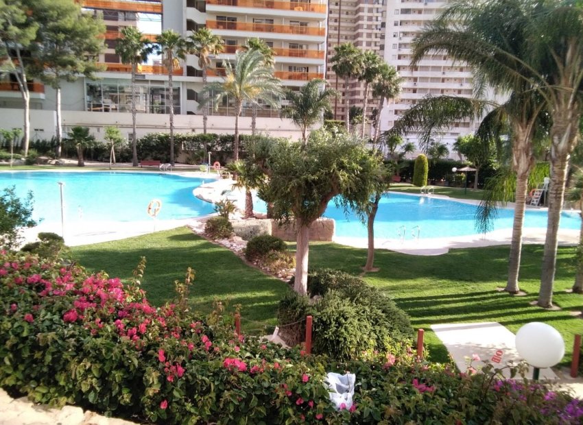 Resale - Apartment / flat - Benidorm - Rincón de Loix