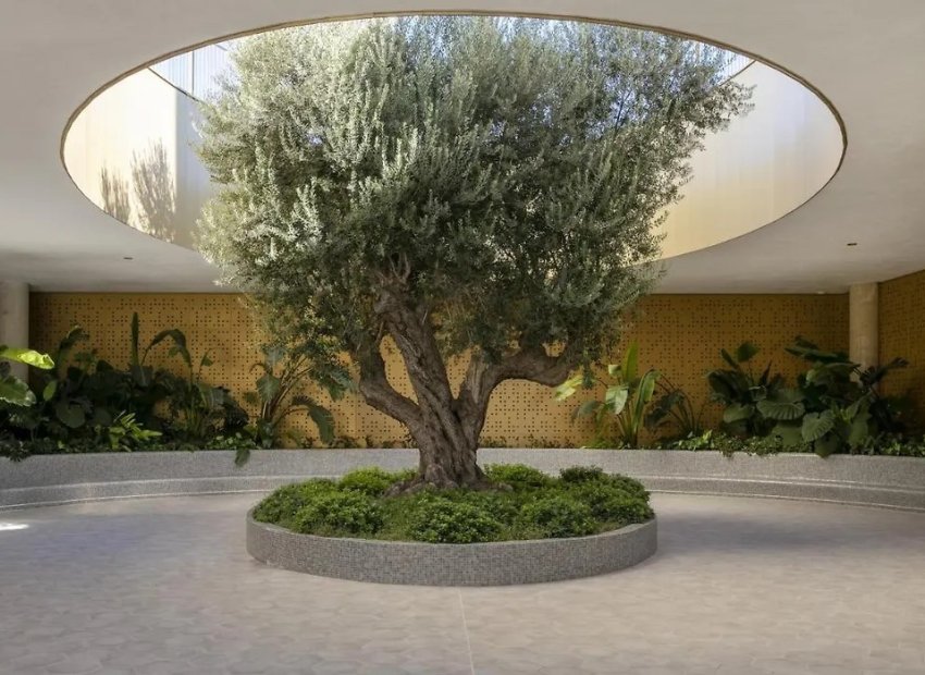 Resale - Apartment / flat - Benidorm - Zona de Poniente