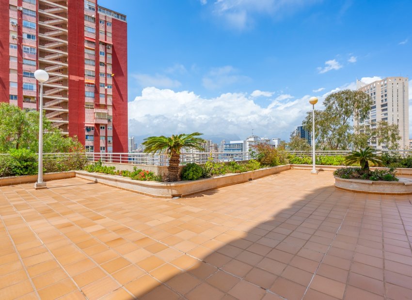 Resale - Apartment / flat - Benidorm