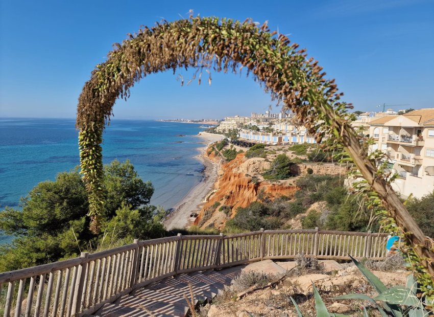 Resale - Apartment / flat - Cabo Roig