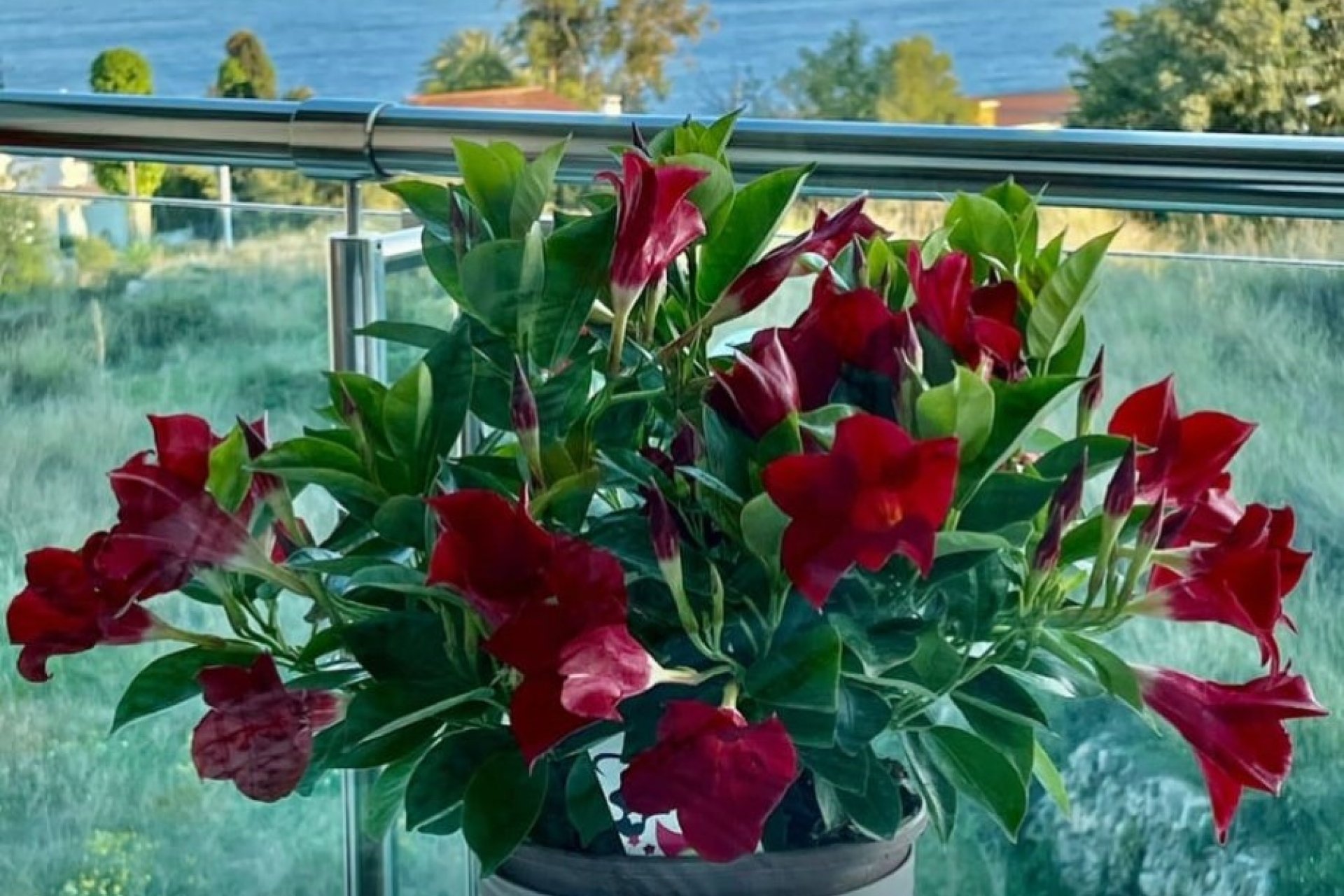 Resale - Apartment / flat - Calpe