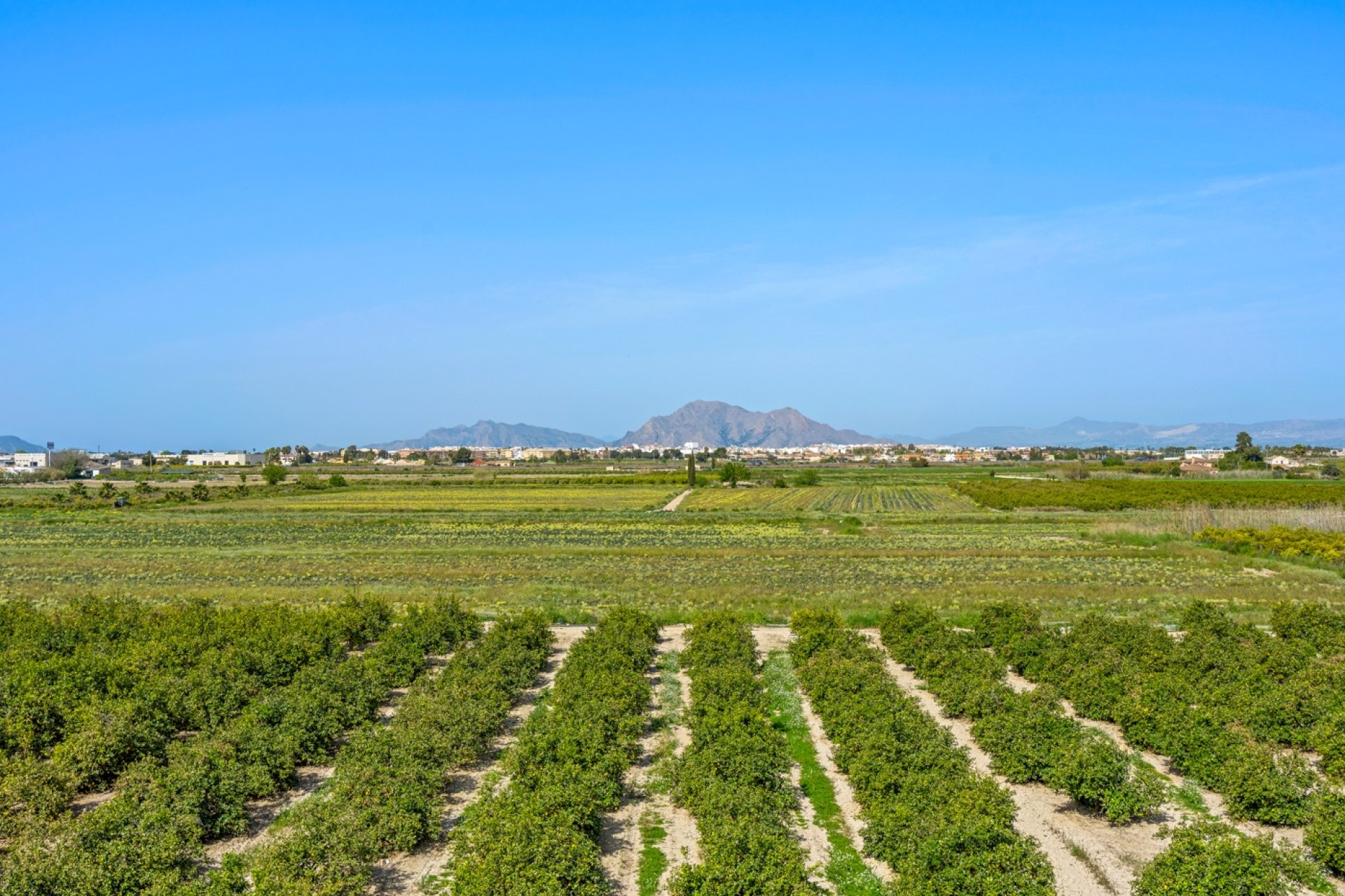 Resale - Apartment / flat - Daya Nueva - Costa Blanca South