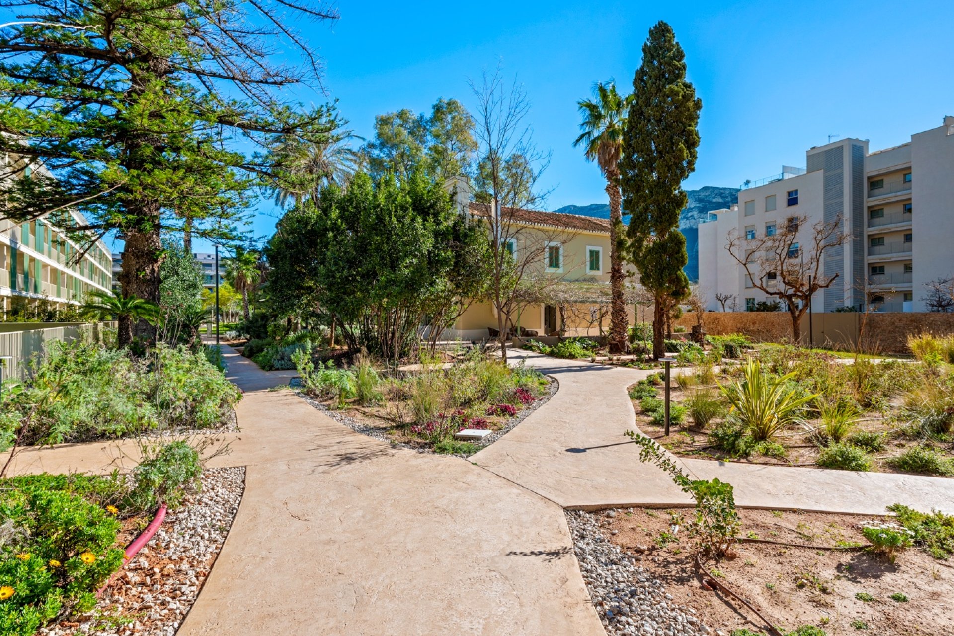 Resale - Apartment / flat - Denia - Puerto