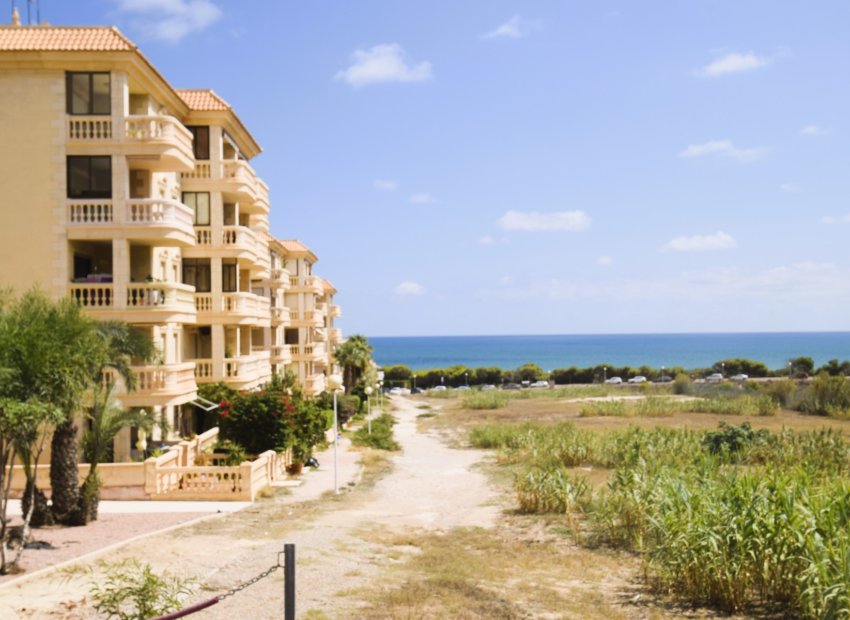 Resale - Apartment / flat - Guardamar del Segura - Campomar