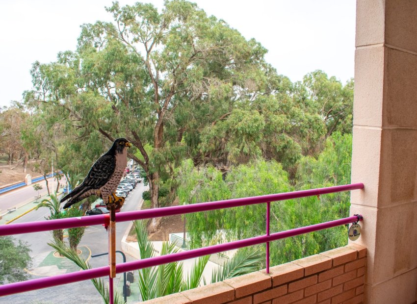 Resale - Apartment / flat - Guardamar del Segura - Center