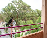 Resale - Apartment / flat - Guardamar del Segura - Center