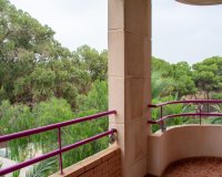 Resale - Apartment / flat - Guardamar del Segura - Center