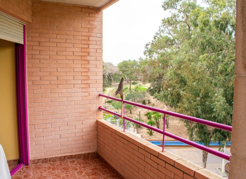 Resale - Apartment / flat - Guardamar del Segura - Center