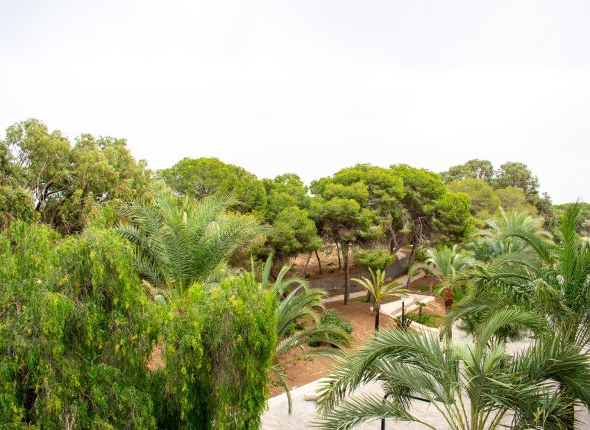 Resale - Apartment / flat - Guardamar del Segura - Center