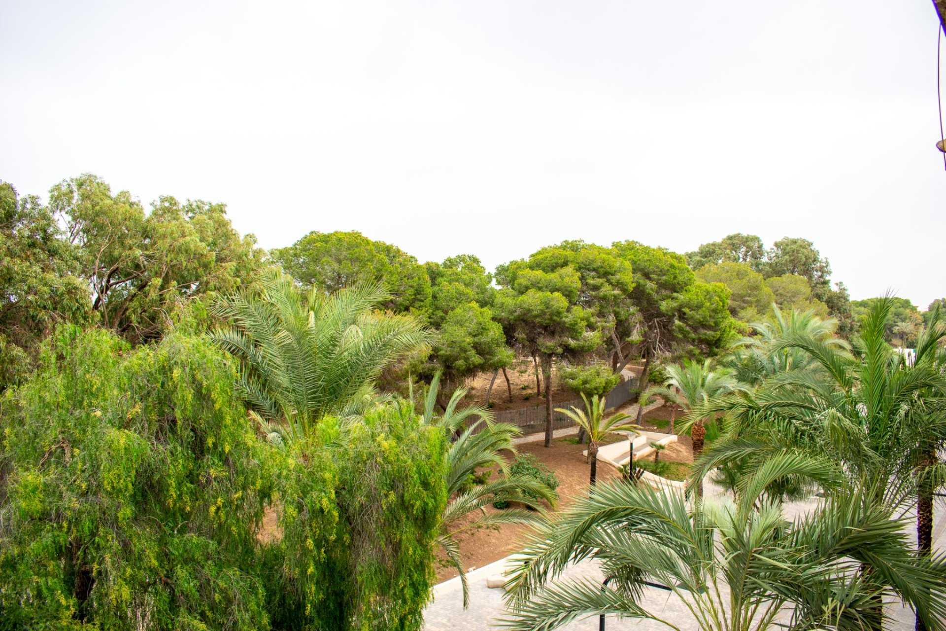 Resale - Apartment / flat - Guardamar del Segura - Center