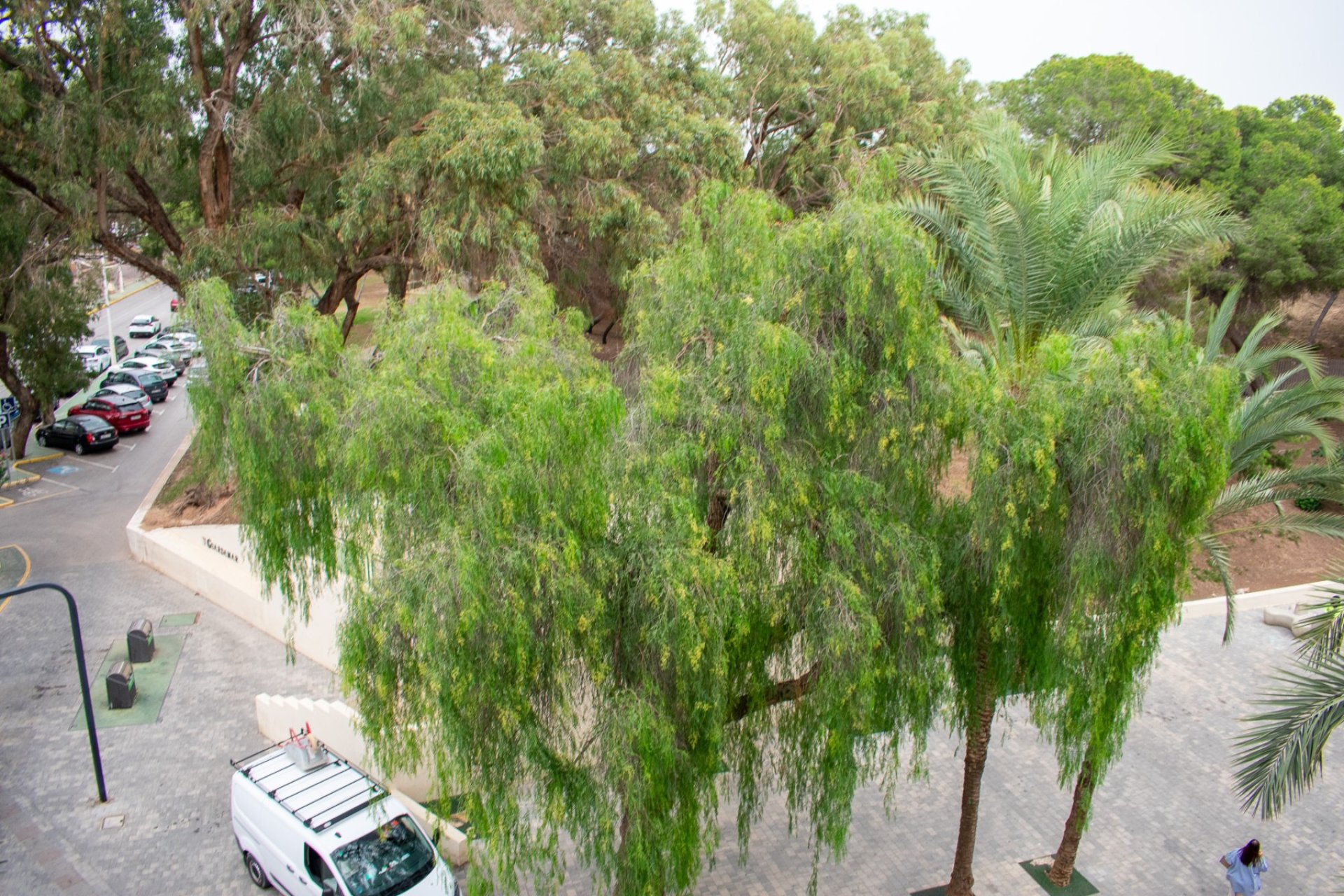 Resale - Apartment / flat - Guardamar del Segura - Center