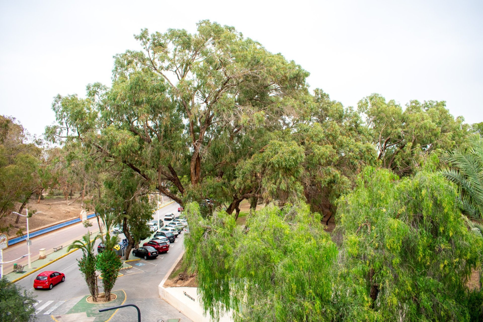 Resale - Apartment / flat - Guardamar del Segura - Center