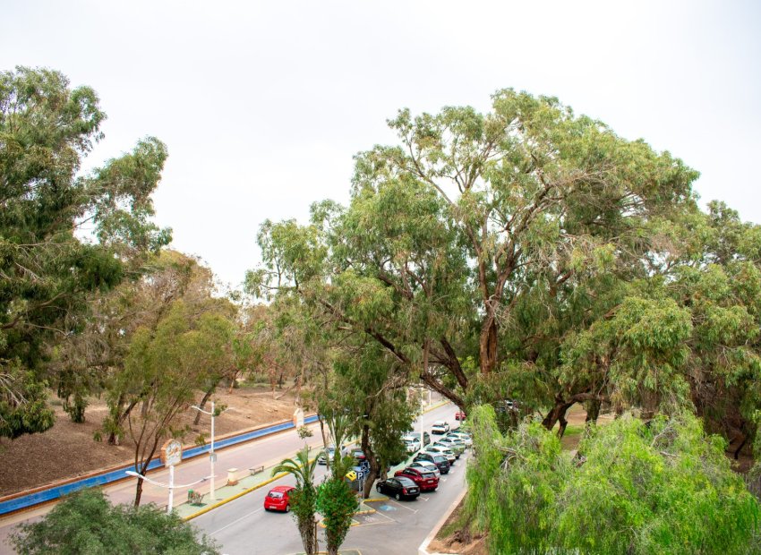 Resale - Apartment / flat - Guardamar del Segura - Center