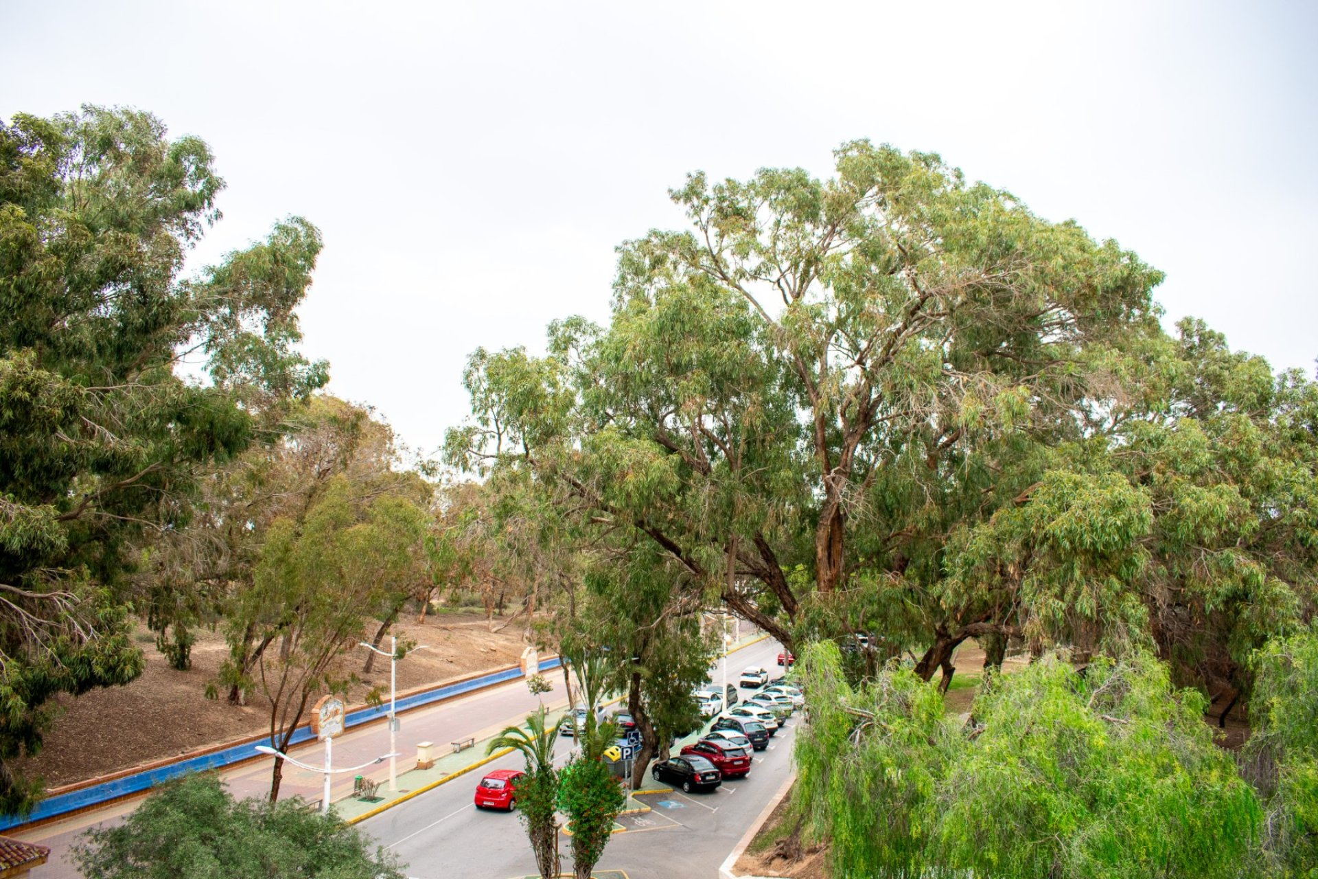 Resale - Apartment / flat - Guardamar del Segura - Center