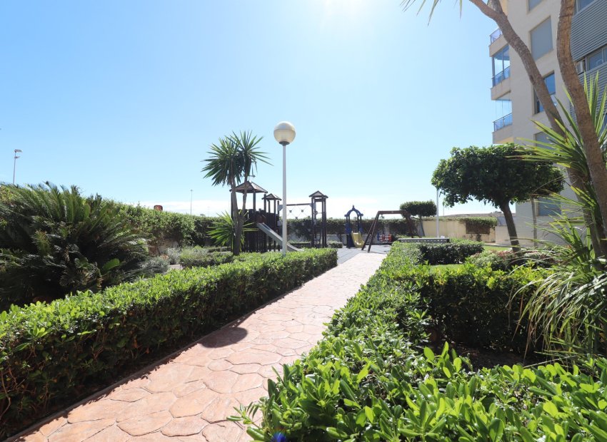 Resale - Apartment / flat - Guardamar del Segura - Guardamar del Segura - Town