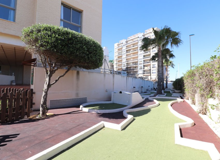 Resale - Apartment / flat - Guardamar del Segura - Guardamar del Segura - Town