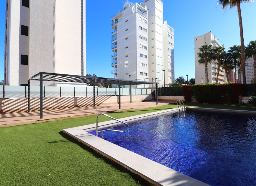 Resale - Apartment / flat - Guardamar del Segura - Guardamar del Segura - Town