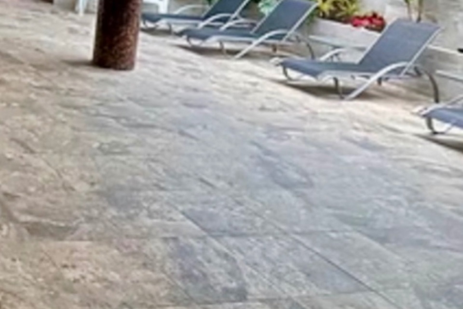 Resale - Apartment / flat - Guardamar del Segura - Guardamar - El Raso