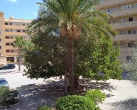 Resale - Apartment / flat - Guardamar del Segura - Pinomar