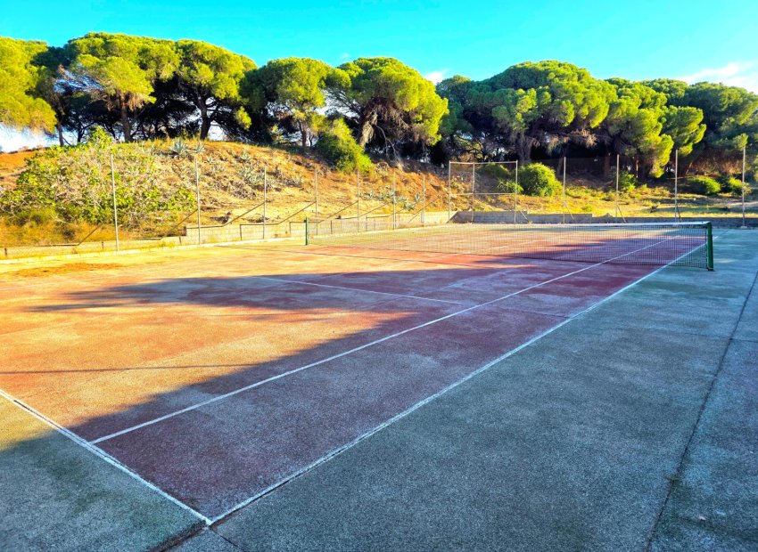 Resale - Apartment / flat - Guardamar del Segura - Pinomar