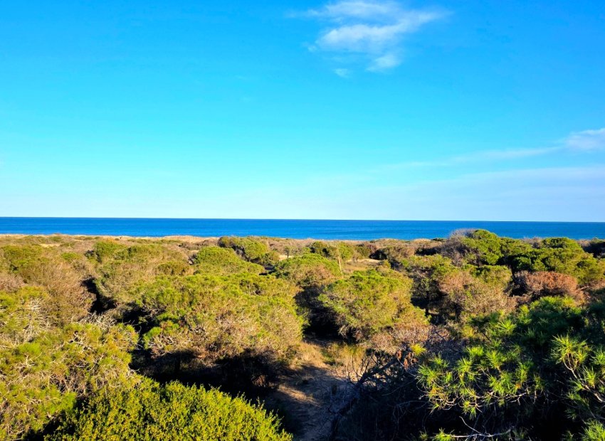 Resale - Apartment / flat - Guardamar del Segura - Pinomar