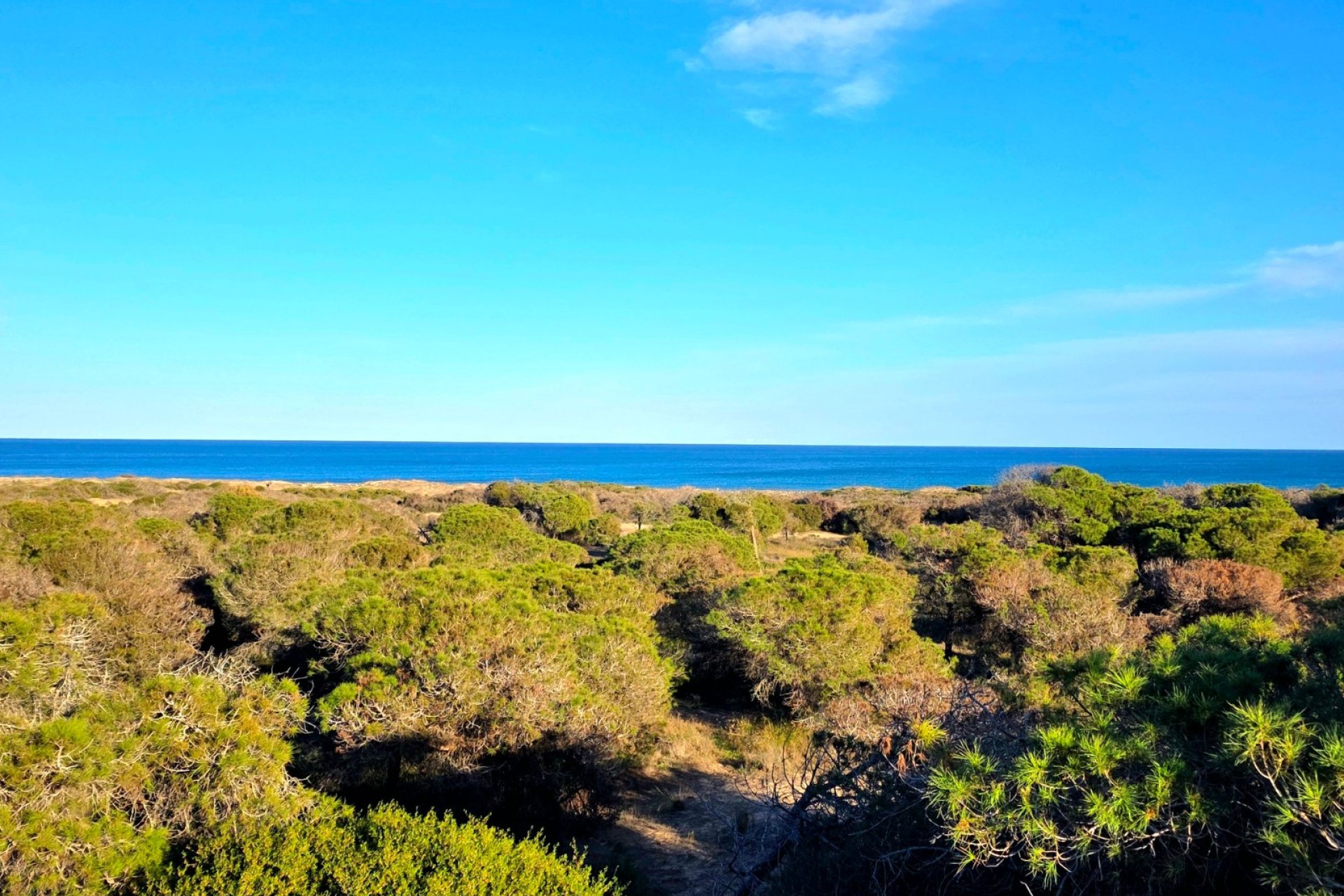 Resale - Apartment / flat - Guardamar del Segura - Pinomar