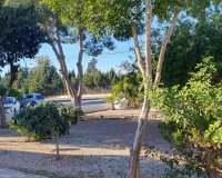 Resale - Apartment / flat - Guardamar del Segura - Urbanizaciones