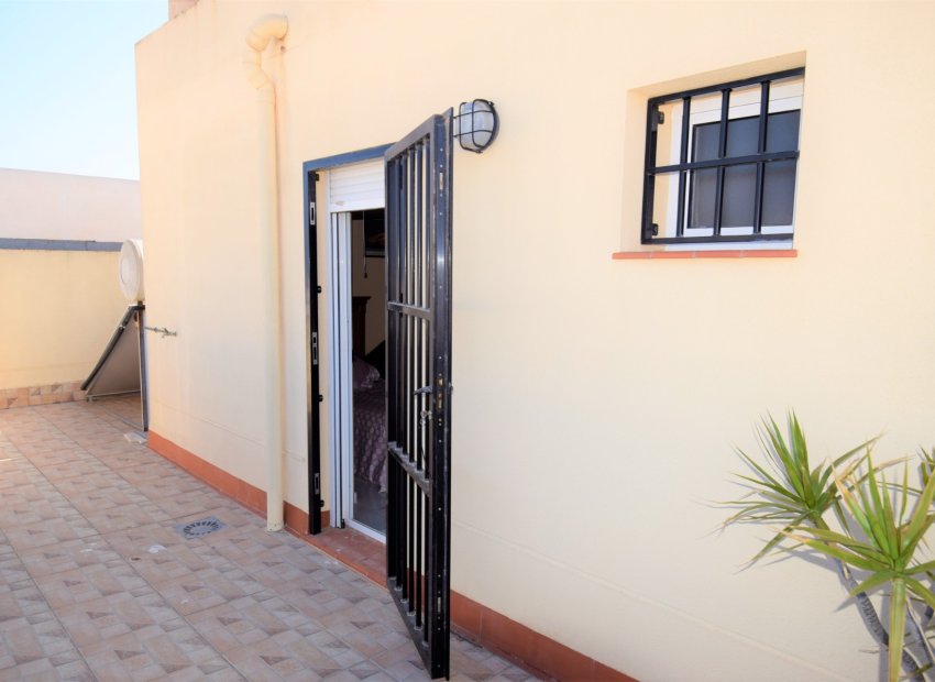 Resale - Apartment / flat - Guardamar del Segura