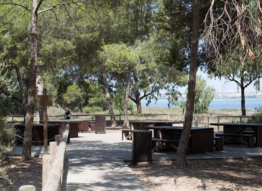 Resale - Apartment / flat - La Mata - La Mata - Town