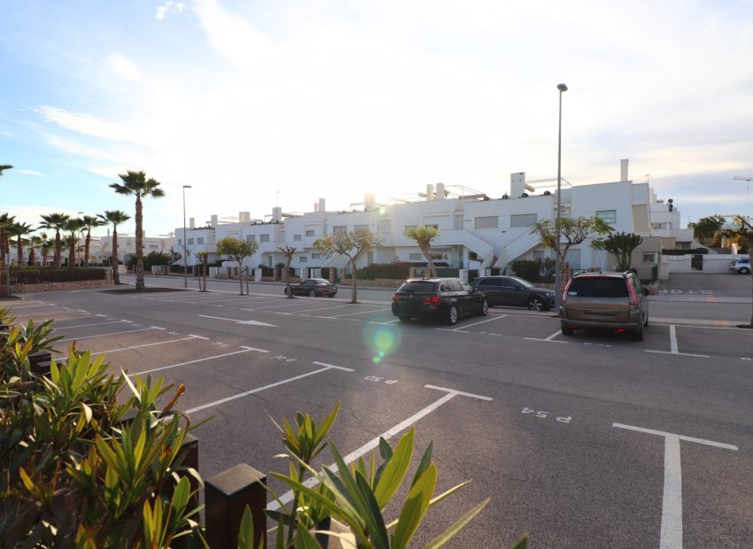 Resale - Apartment / flat - Los Montesinos - Entre Naranjos / Vistabella Golf