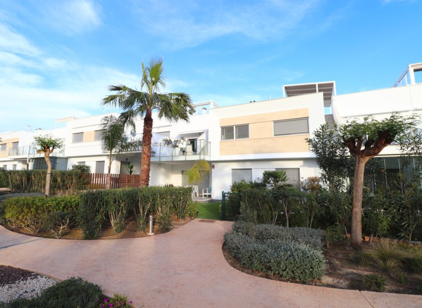 Resale - Apartment / flat - Los Montesinos - Entre Naranjos