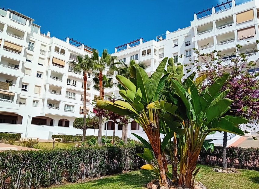 Resale - Apartment / flat - Marbella - Nueva Andalucía