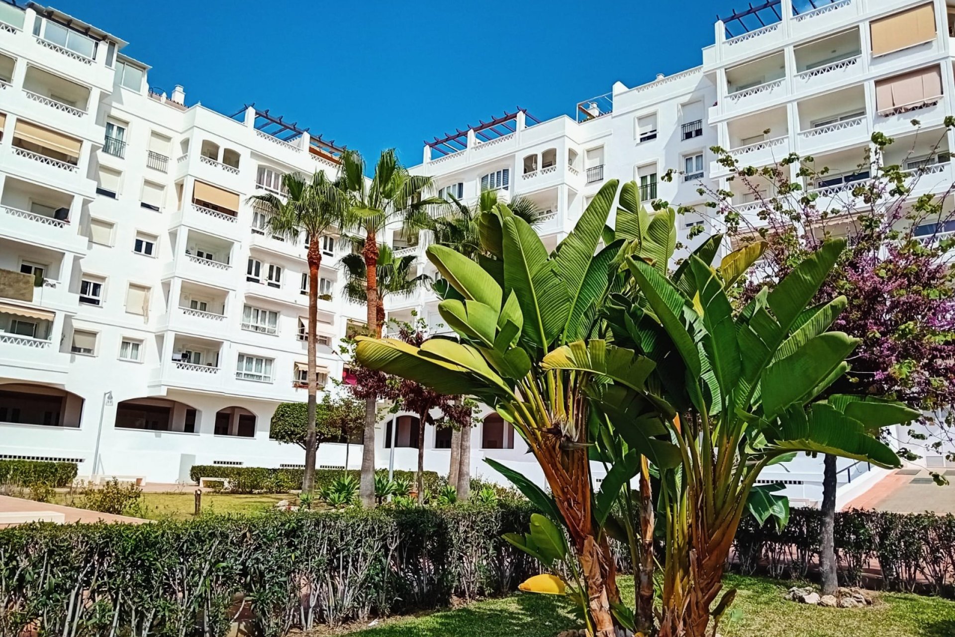 Resale - Apartment / flat - Marbella - Nueva Andalucía