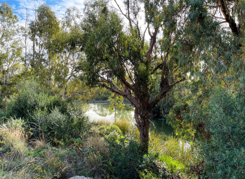 Resale - Apartment / flat - Marbella - Nueva Andalucía