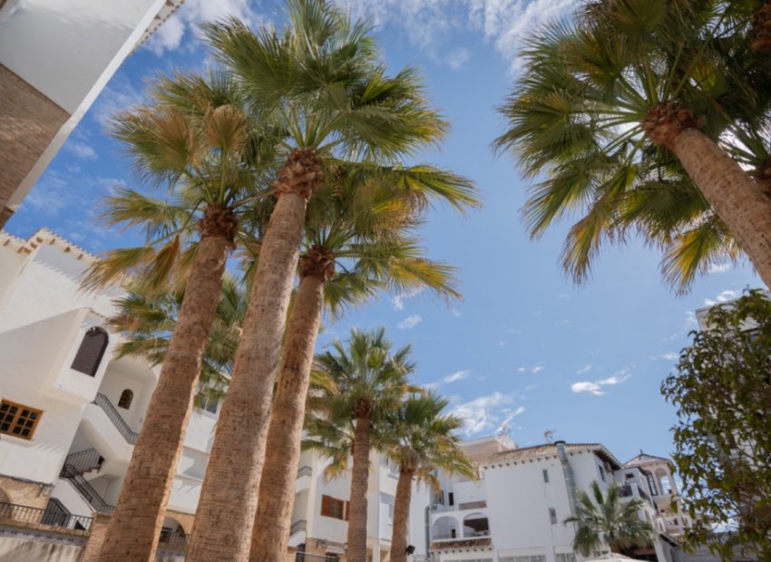 Resale - Apartment / flat - Orihuela - Costa Blanca