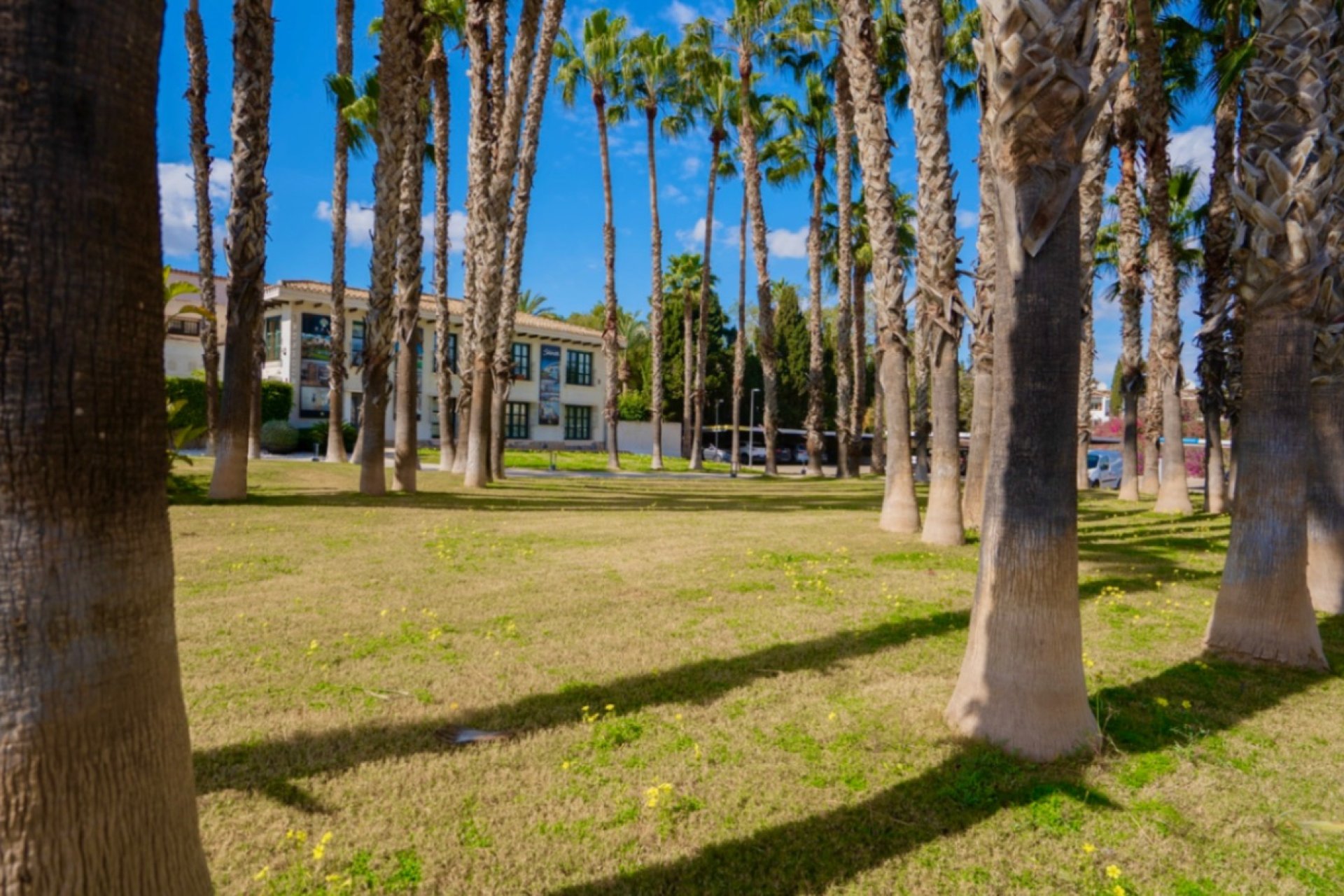 Resale - Apartment / flat - Orihuela - Costa Blanca