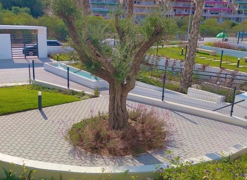 Resale - Apartment / flat - Orihuela - Costa Blanca