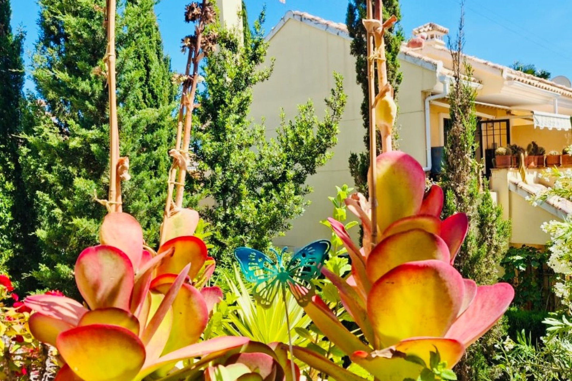 Resale - Apartment / flat - Orihuela Costa - Lomas de Campoamor