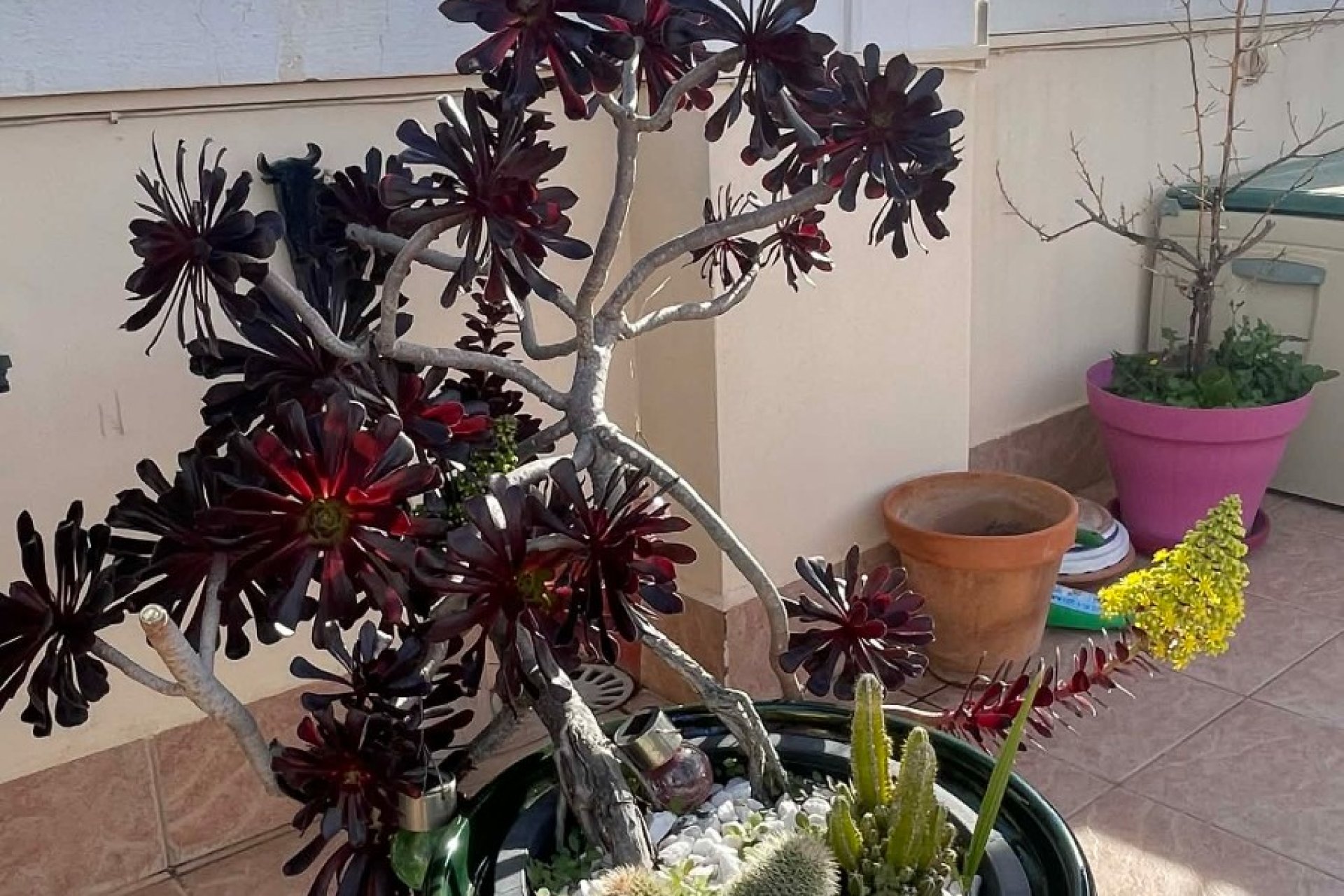 Resale - Apartment / flat - Orihuela Costa - Los Altos