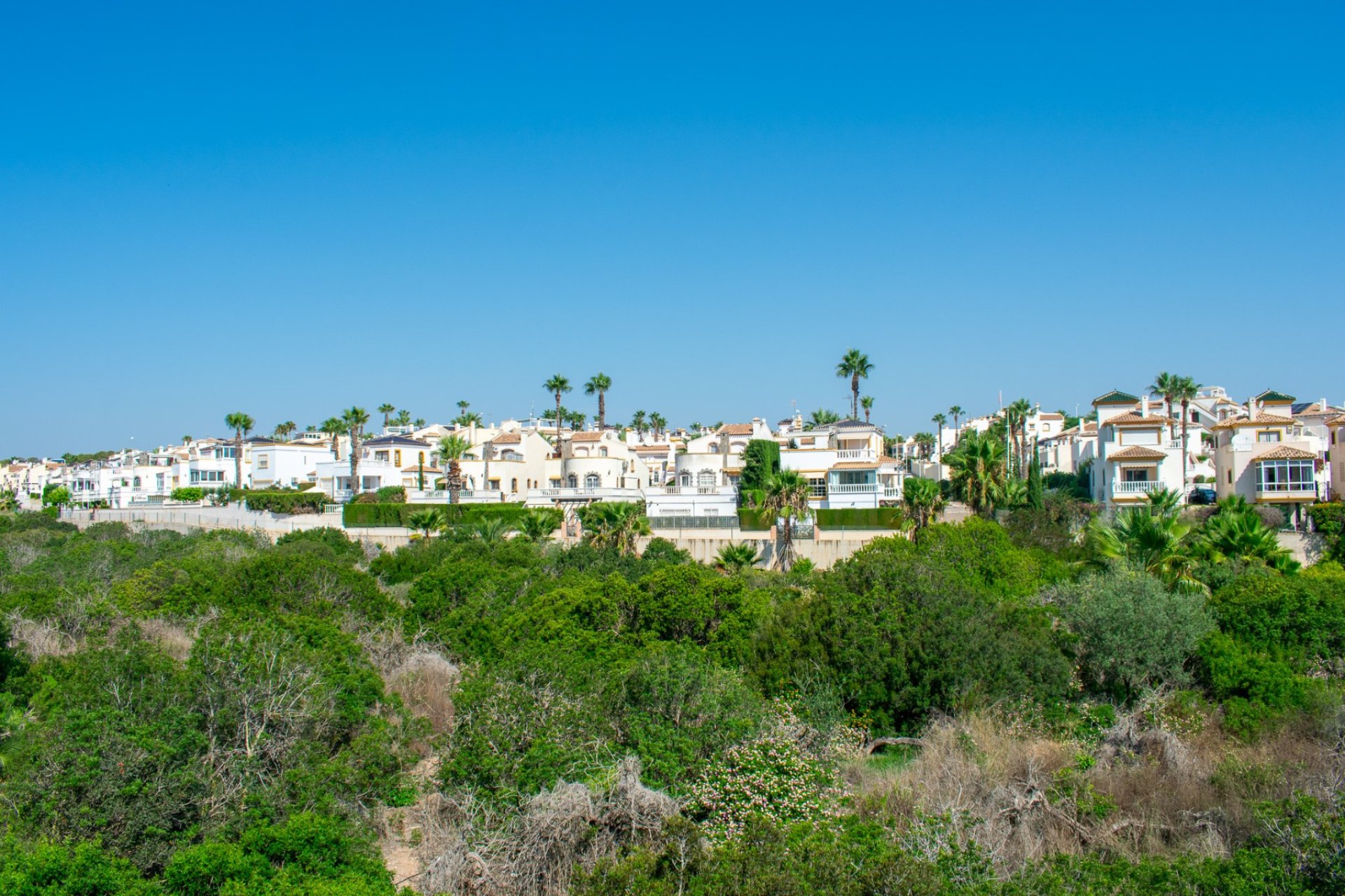 Resale - Apartment / flat - Orihuela Costa - Los Dolses