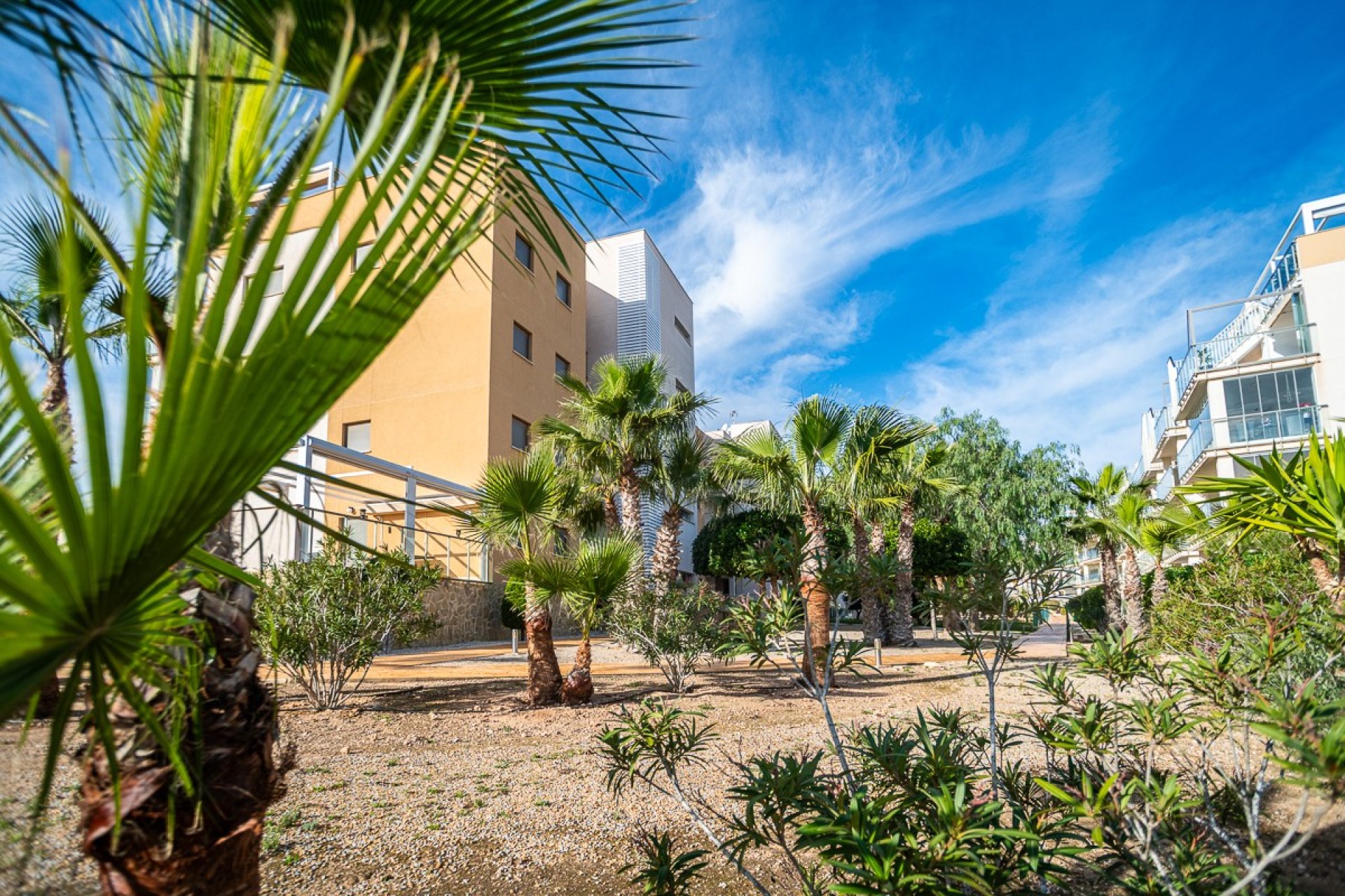 Resale - Apartment / flat - Orihuela Costa - Los Dolses