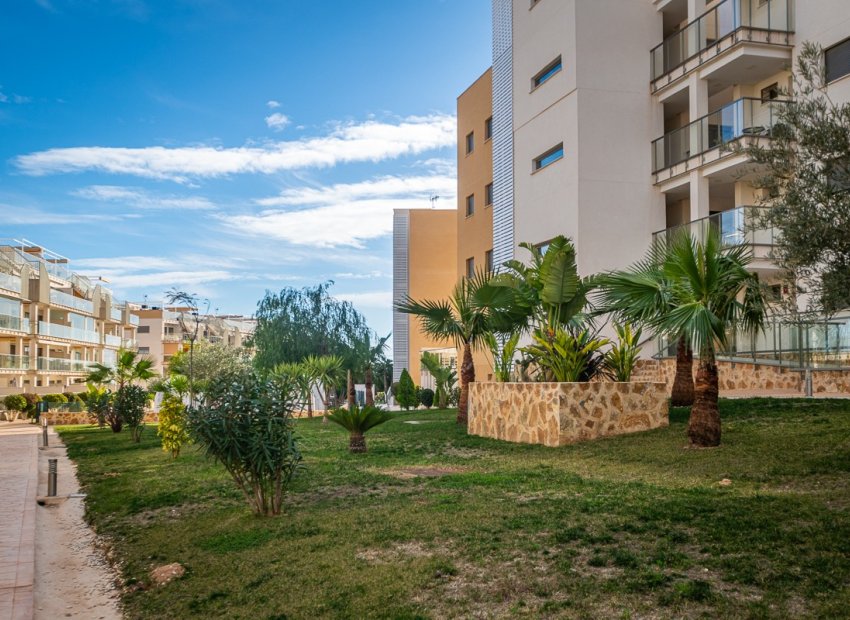 Resale - Apartment / flat - Orihuela Costa - Los Dolses