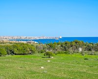Resale - Apartment / flat - Orihuela Costa - Punta Prima