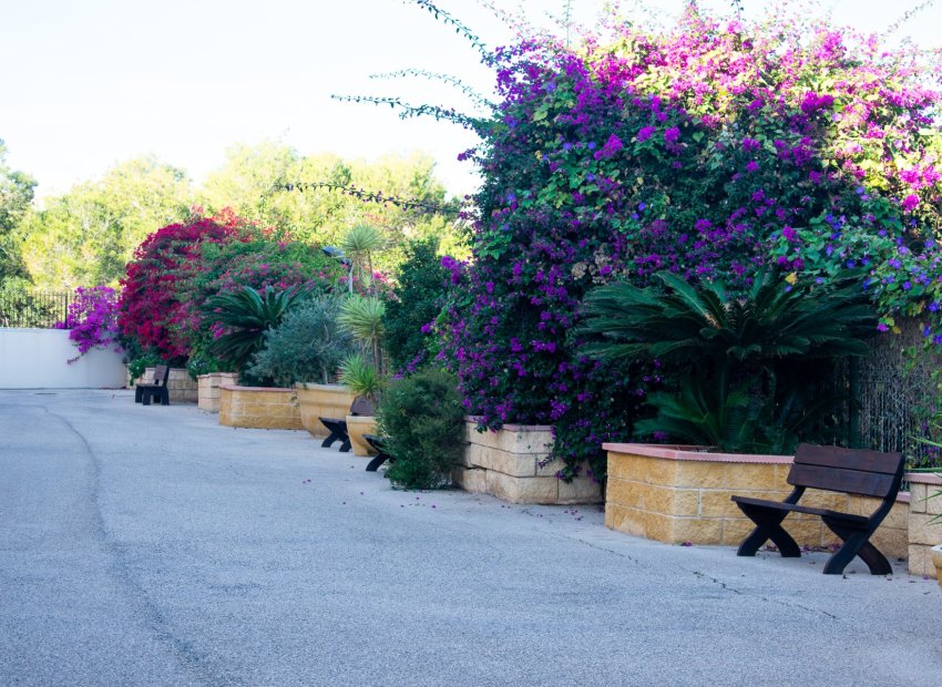 Resale - Apartment / flat - Orihuela - Orihuela Costa