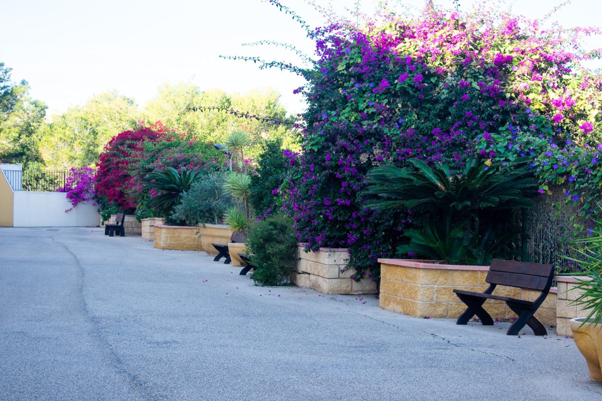 Resale - Apartment / flat - Orihuela - Orihuela Costa