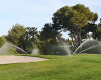 Resale - Apartment / flat - Playa Flamenca