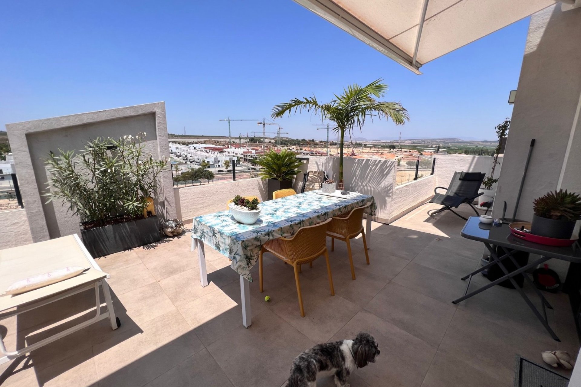 Resale - Apartment / flat - San Miguel de Salinas