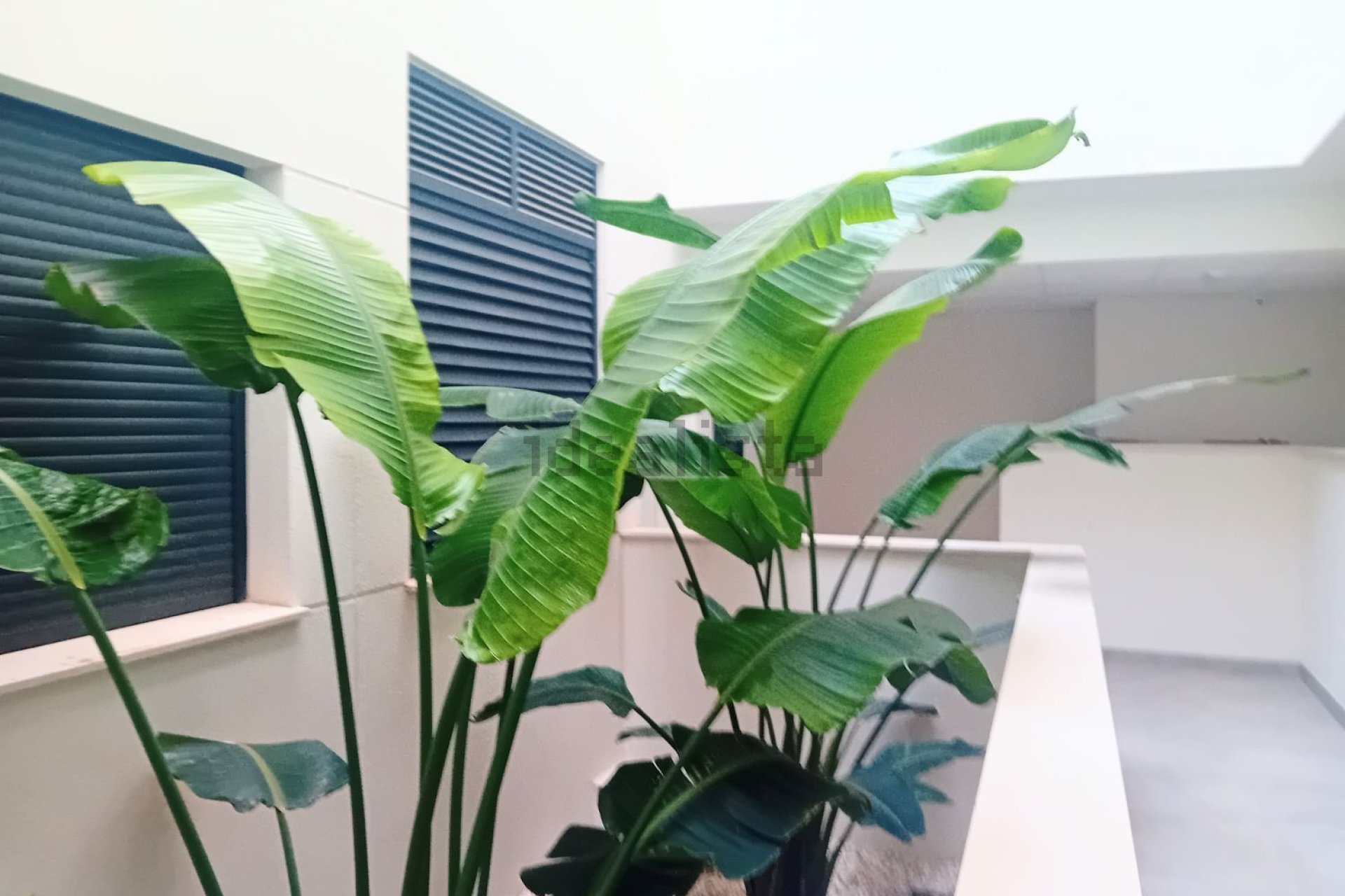 Resale - Apartment / flat - Santa Pola - Gran Alacant